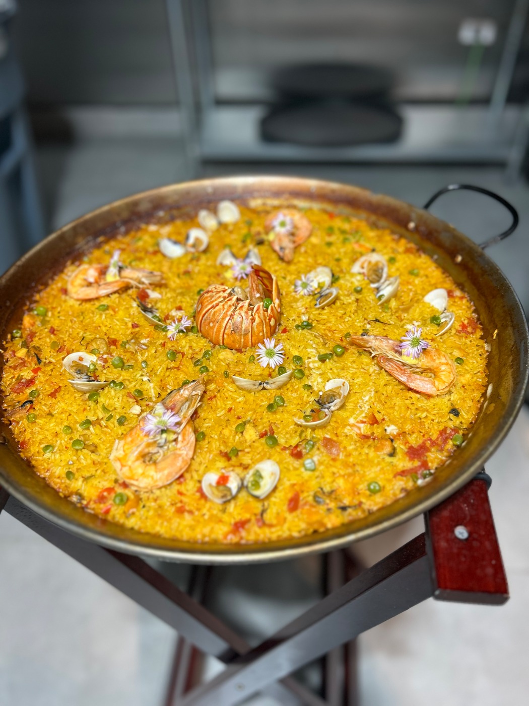 IMG_4063.jpeg IMG_4063.jpeg