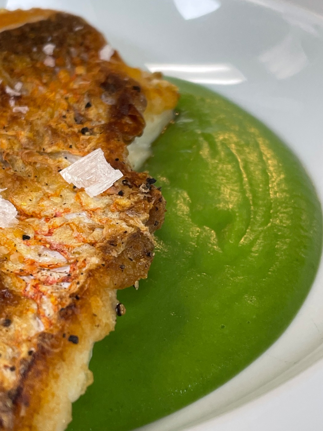 IMG_8295.jpeg IMG_8295.jpeg