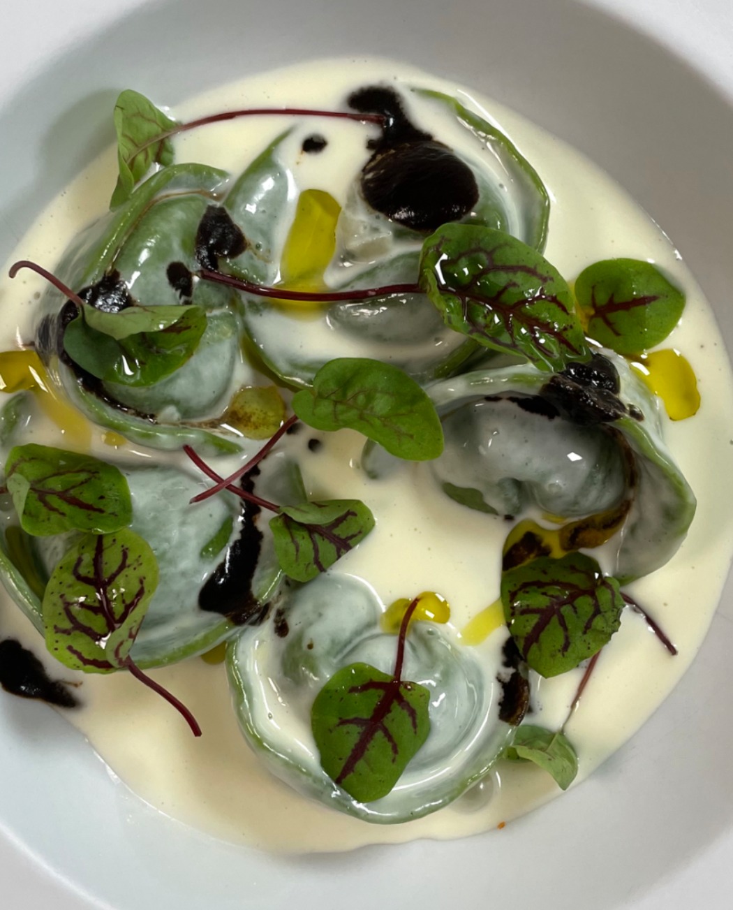 IMG_0958.jpeg IMG_0958.jpeg