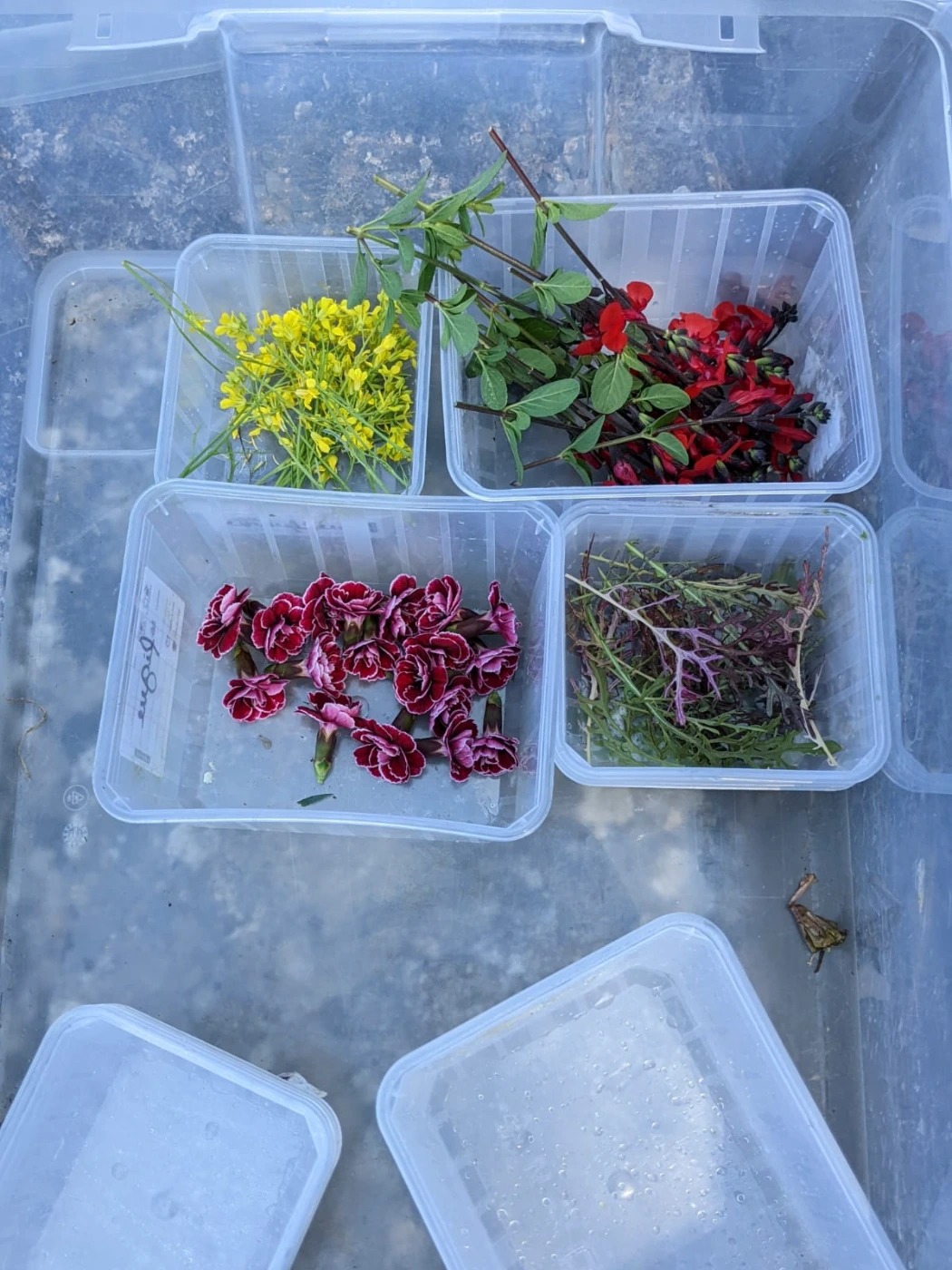 WhatsApp Image 2025-01-06 at 17.29.07 (4).jpeg WhatsApp Image 2025-01-06 at 17.29.07 (4).jpeg