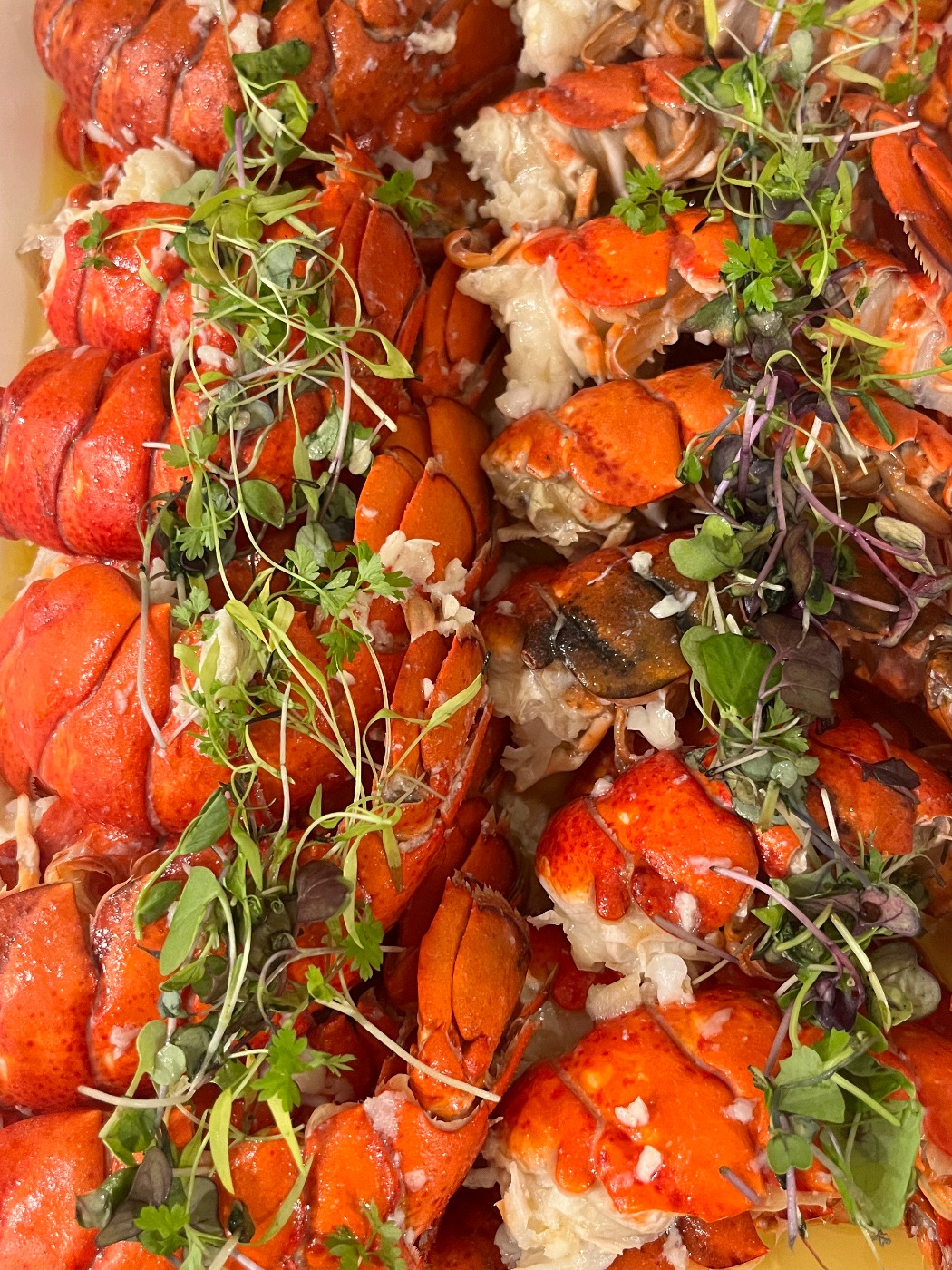 IMG_4498.jpeg IMG_4498.jpeg