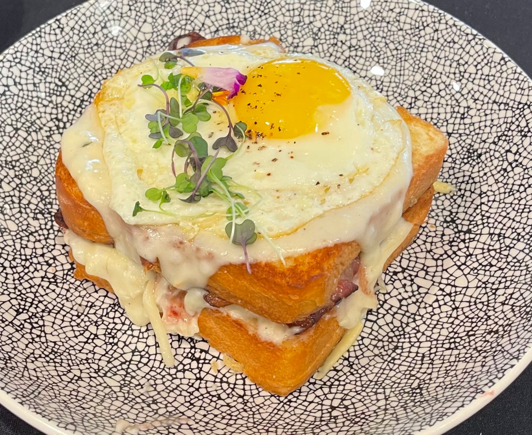 IMG_8834.jpeg IMG_8834.jpeg