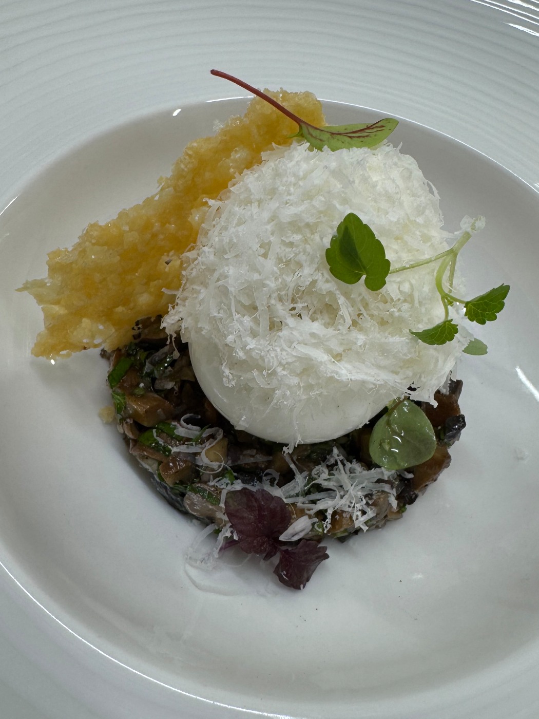 IMG_0753.jpeg IMG_0753.jpeg