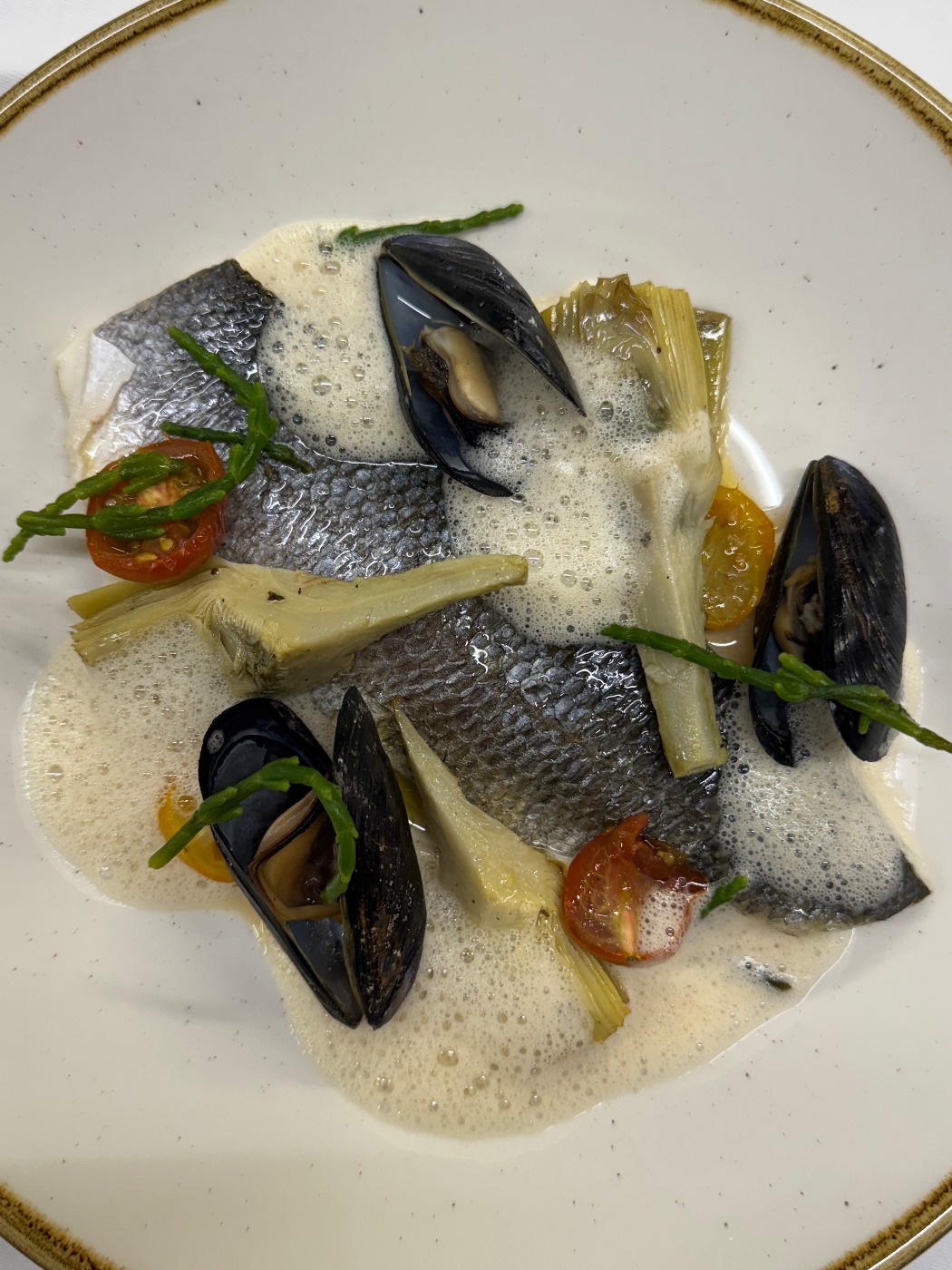 IMG_0522.jpeg IMG_0522.jpeg