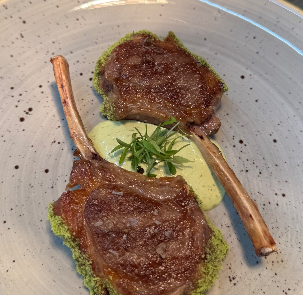 IMG_9904.jpeg IMG_9904.jpeg