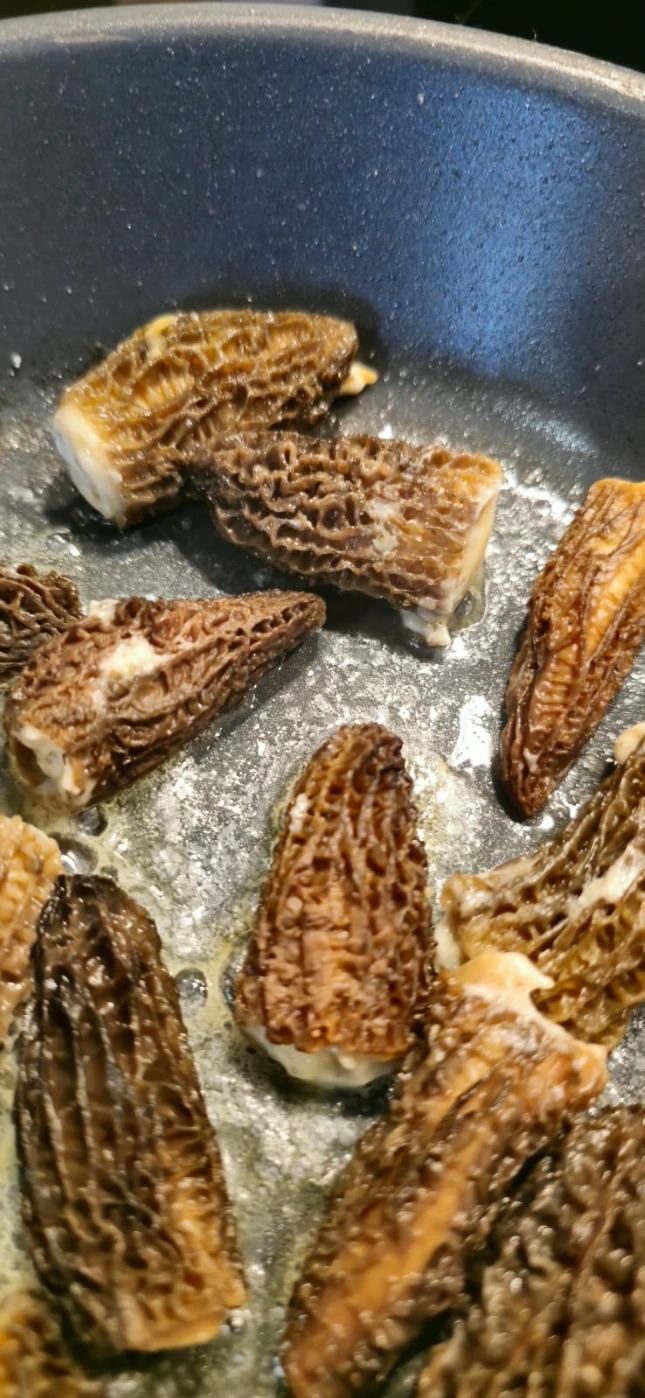 WhatsApp Image 2025-10-21 à 11.41.58_446fc550.jpg