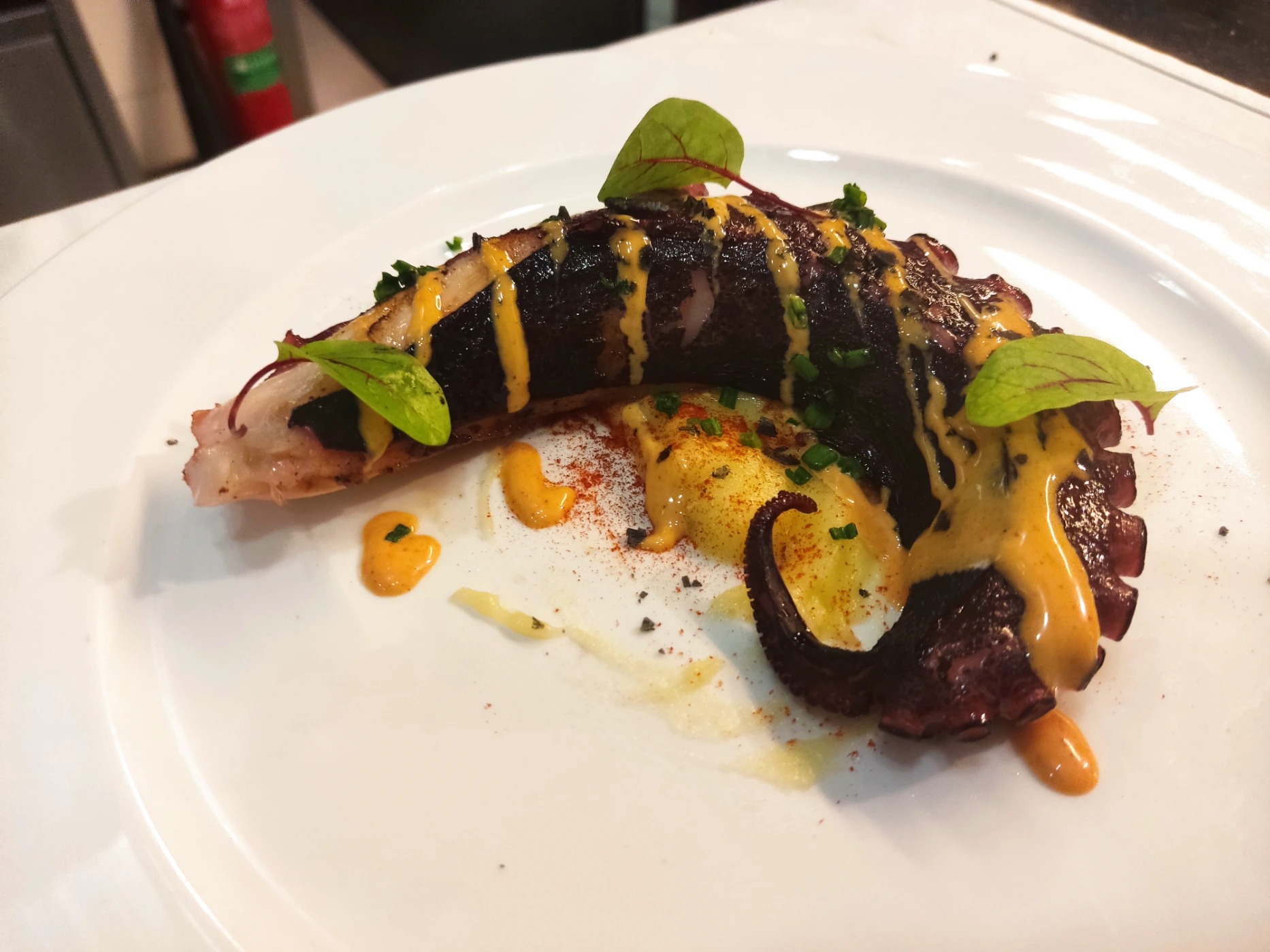 1000007513.jpg 1000007513.jpg