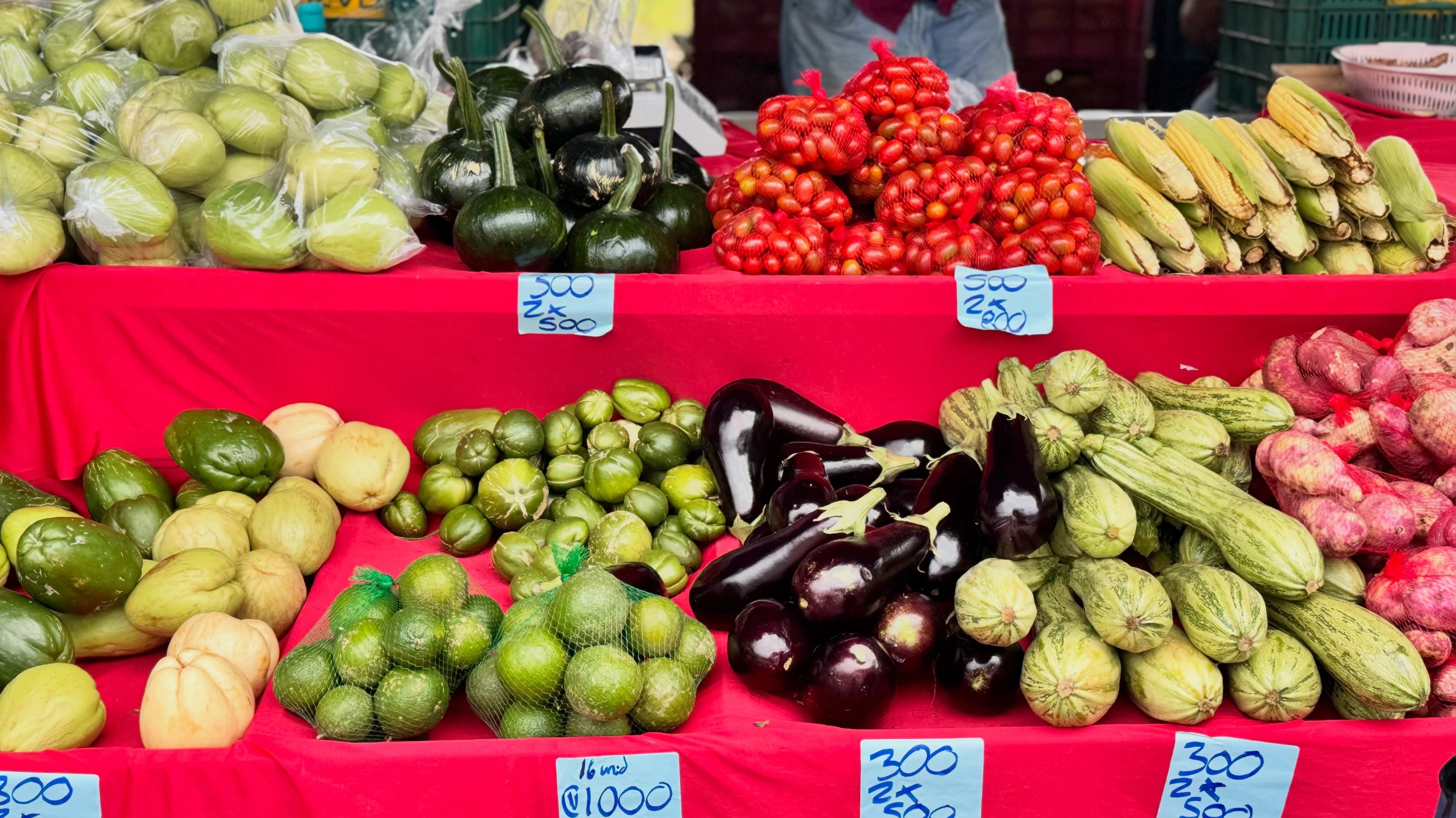 2B7D1516-7A83-434D-A6A5-33E64919F500.JPEG 2B7D1516-7A83-434D-A6A5-33E64919F500.JPEG