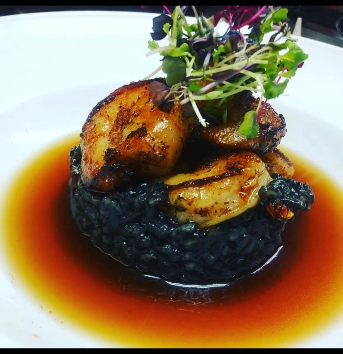 IMG_2462.jpeg IMG_2462.jpeg