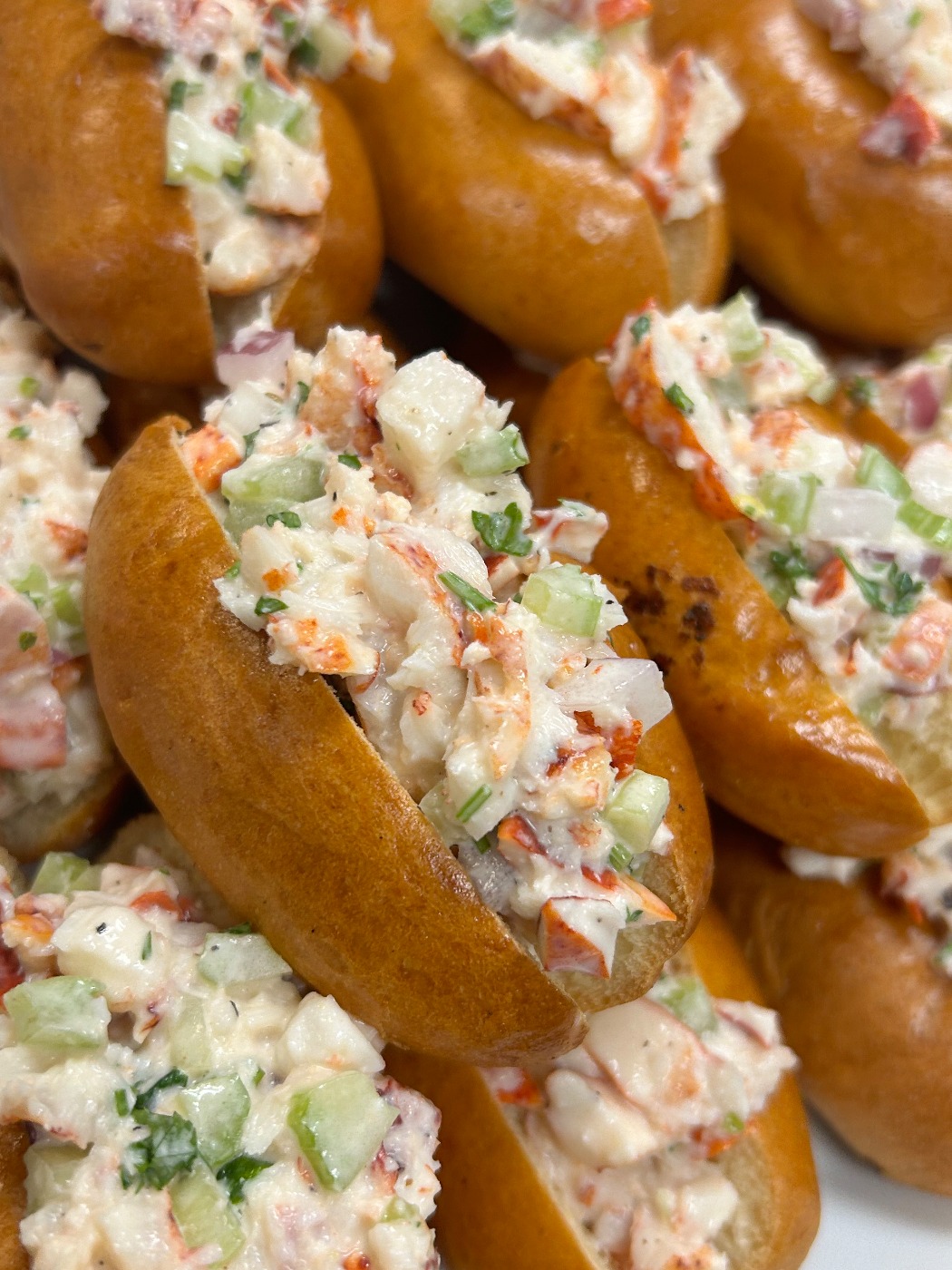 IMG_0188.jpeg IMG_0188.jpeg