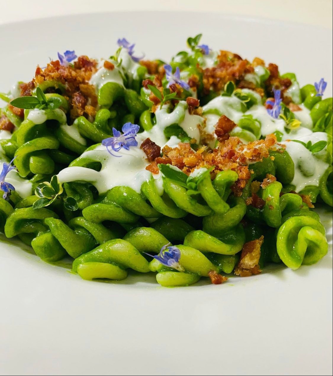 IMG_2788.jpeg IMG_2788.jpeg