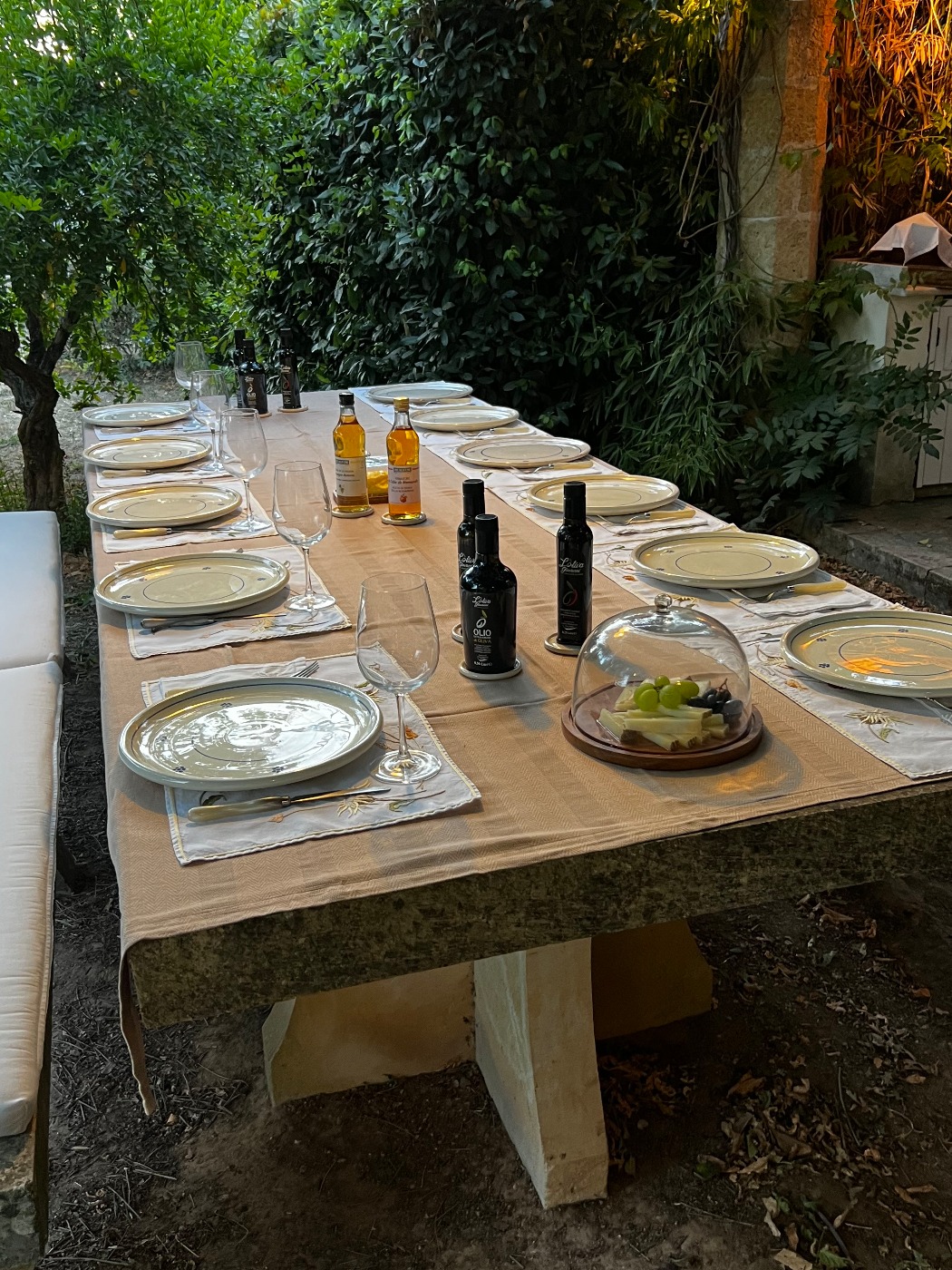 IMG_7240.jpeg IMG_7240.jpeg