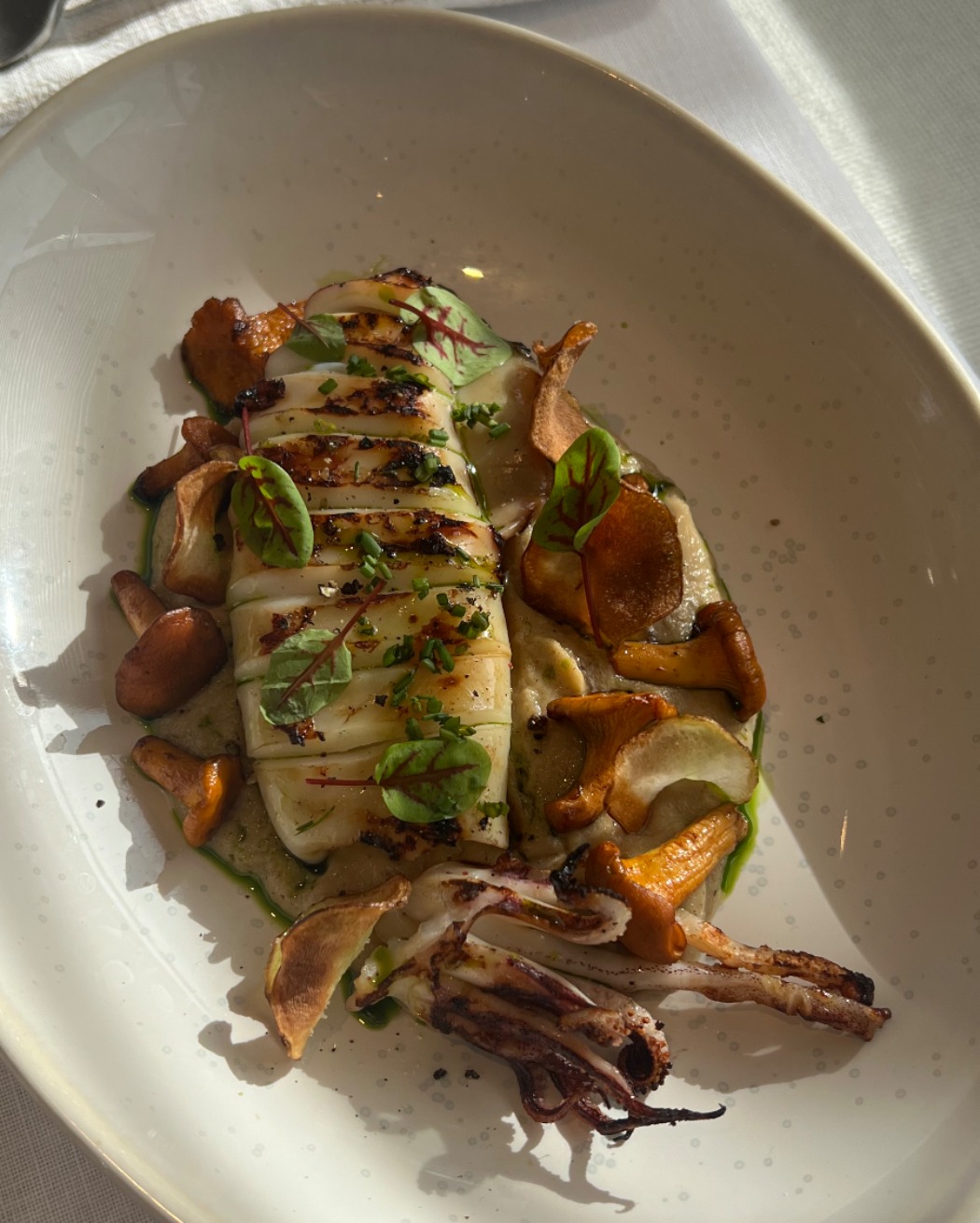 IMG_9698.jpeg IMG_9698.jpeg