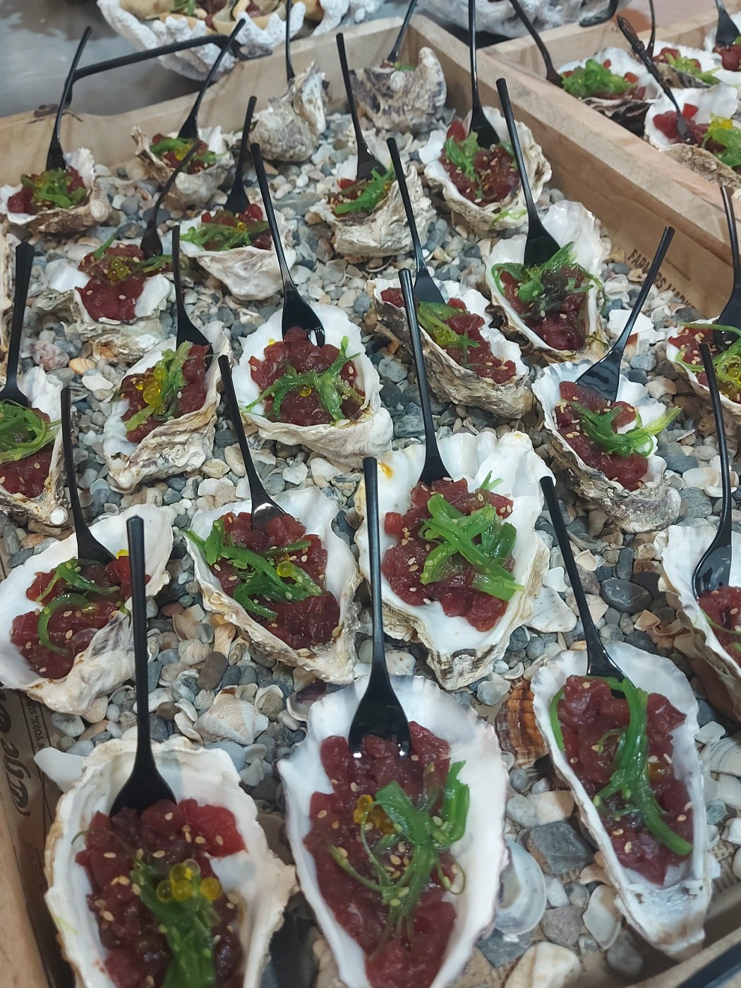 20250626_221215.jpg 20250626_221215.jpg