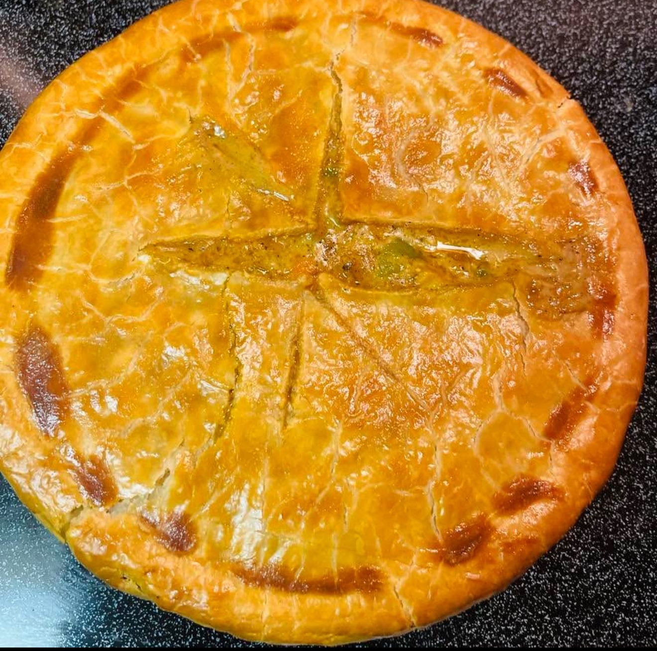 IMG_0995.jpeg IMG_0995.jpeg