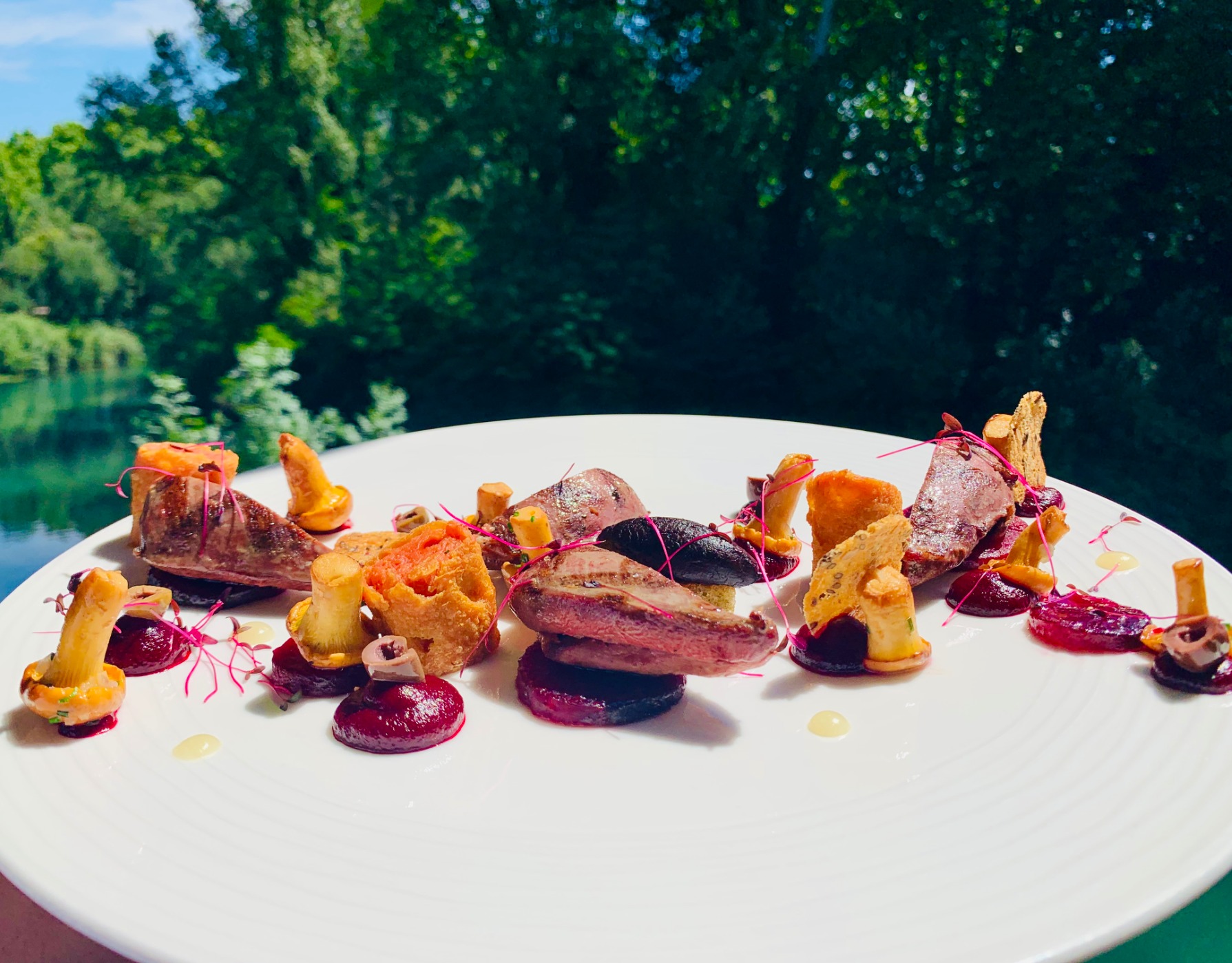 IMG_0162.jpeg IMG_0162.jpeg