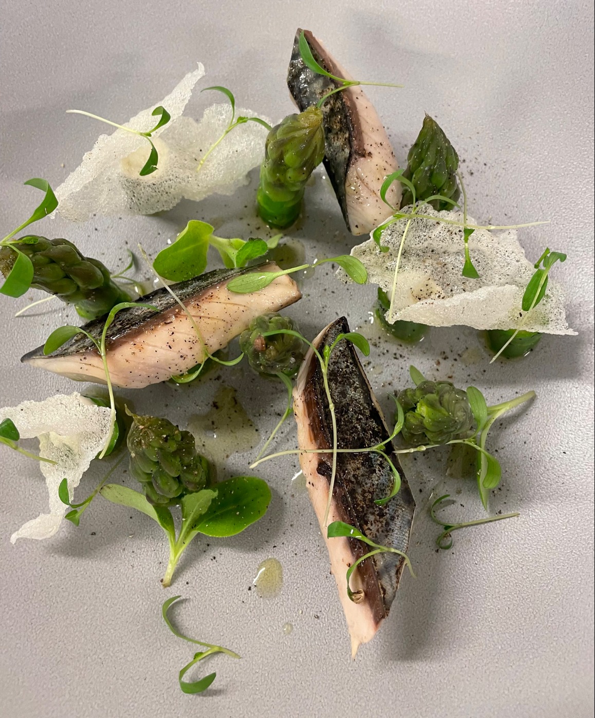 IMG_1054.jpeg IMG_1054.jpeg