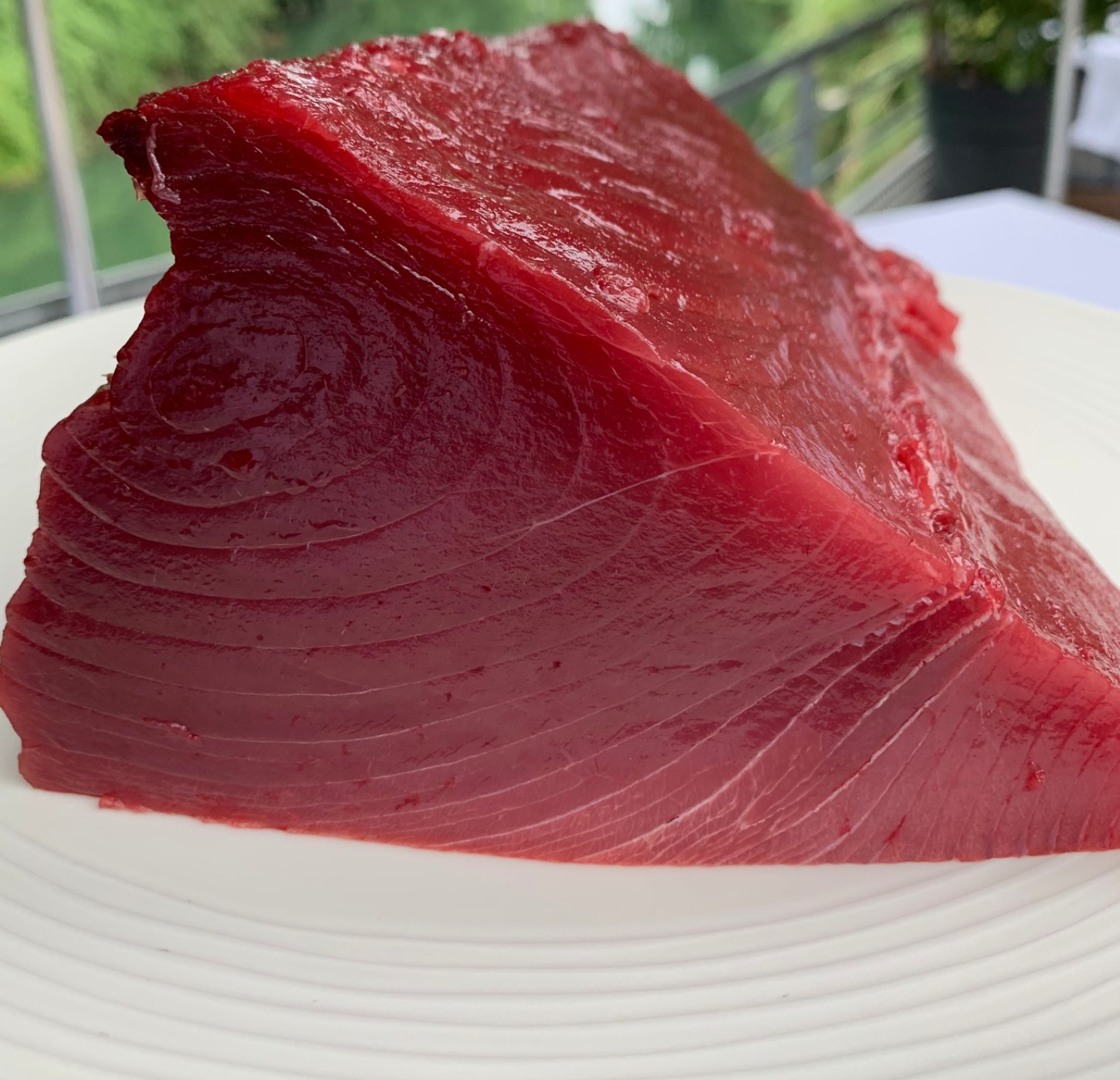 IMG_0275.jpeg IMG_0275.jpeg