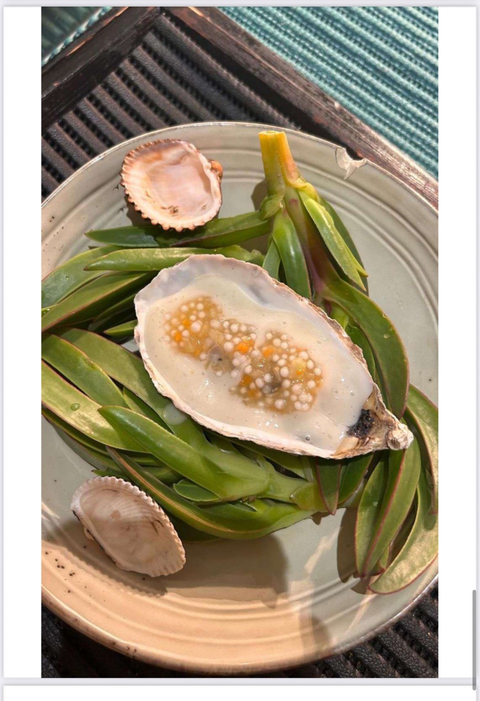 IMG_3868.jpeg IMG_3868.jpeg