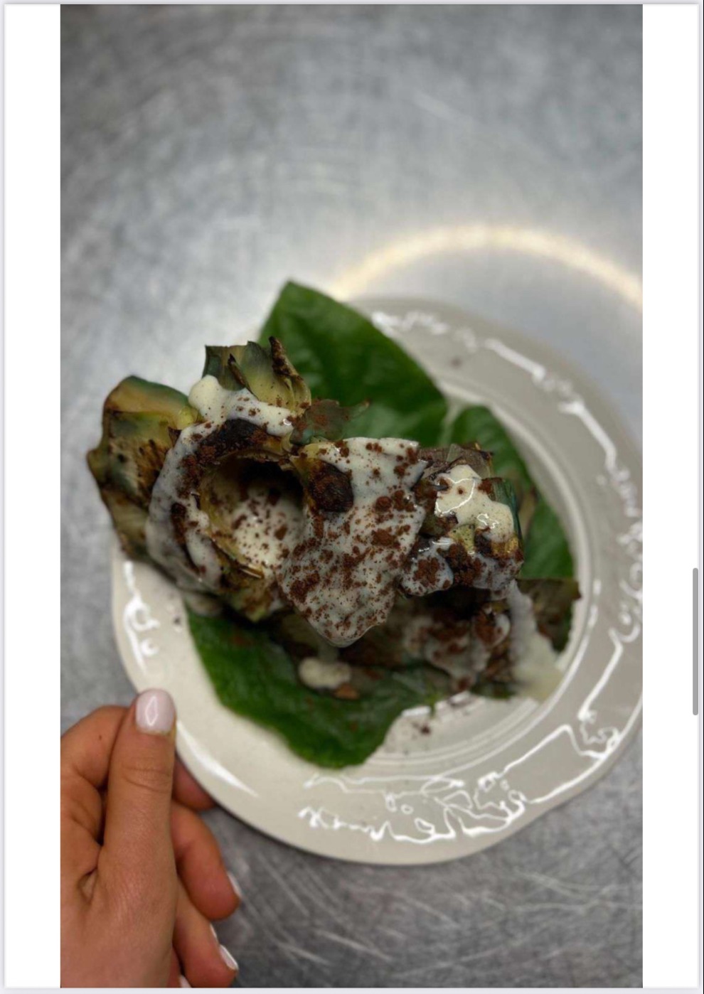 IMG_3869.jpeg IMG_3869.jpeg