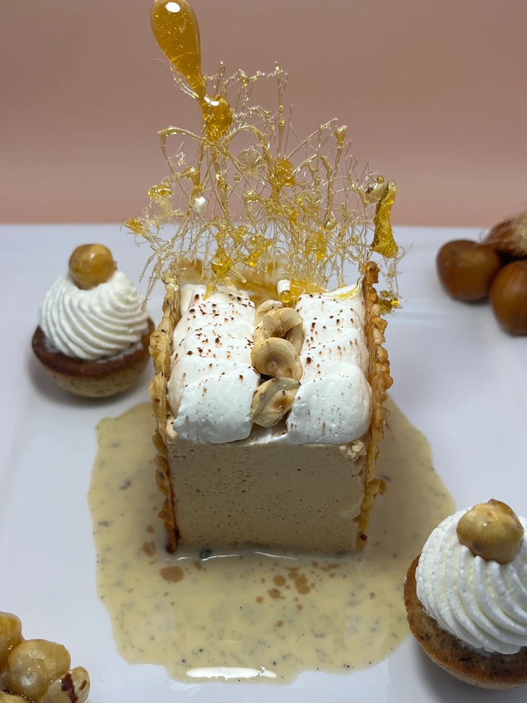 Photo marron top 5163.jpeg