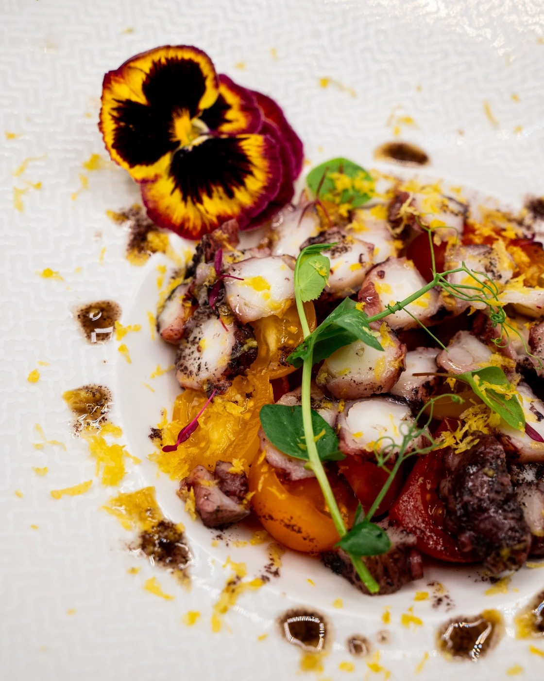 DSC_6218.jpeg DSC_6218.jpeg