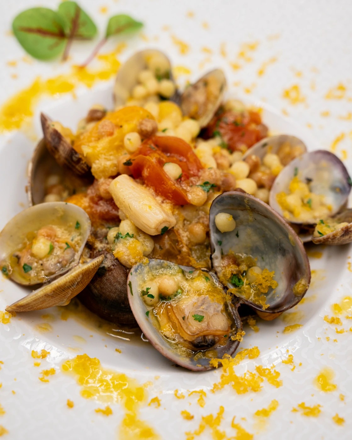 DSC_5885.jpeg DSC_5885.jpeg