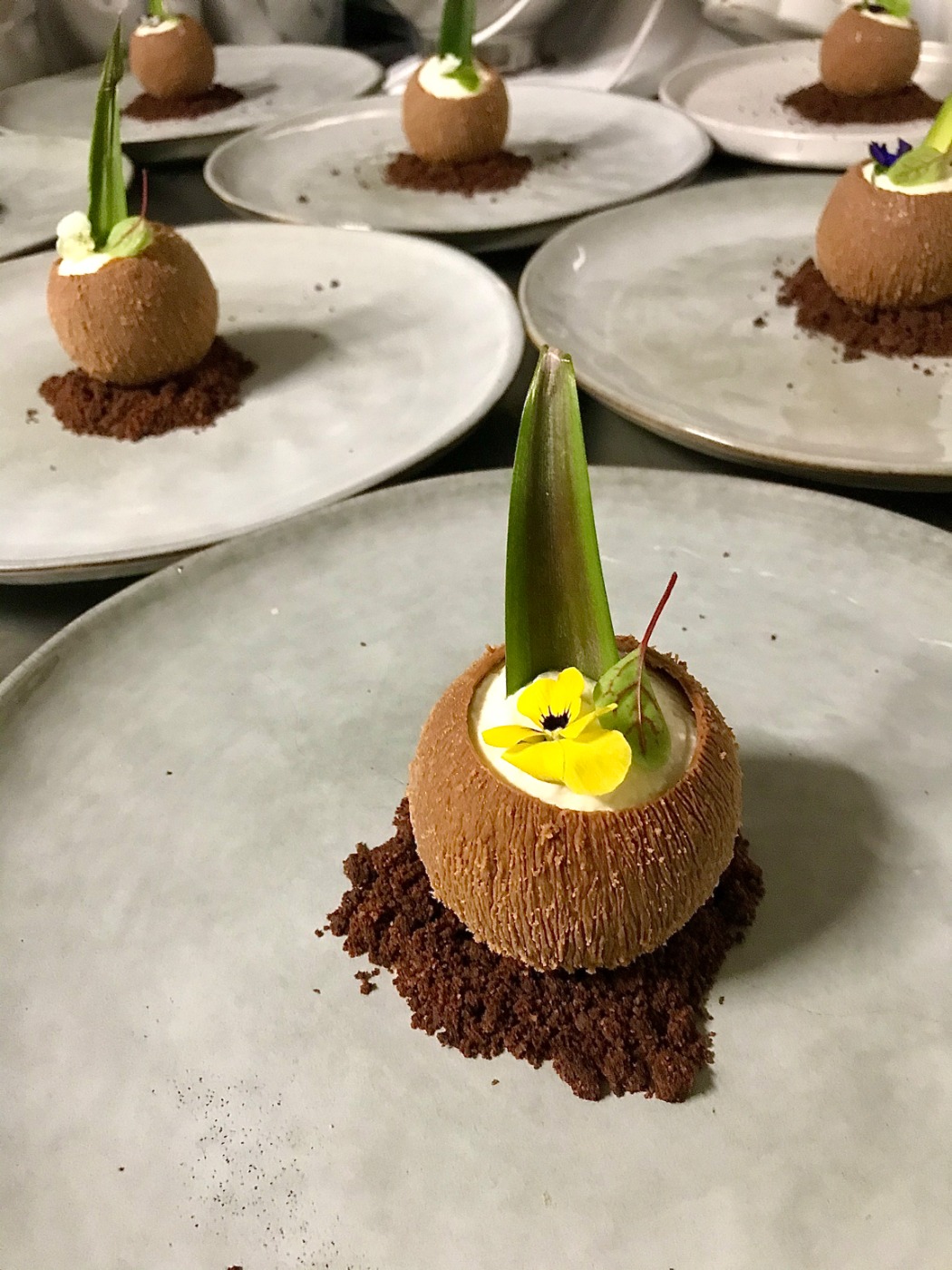 IMG_3237.jpeg IMG_3237.jpeg