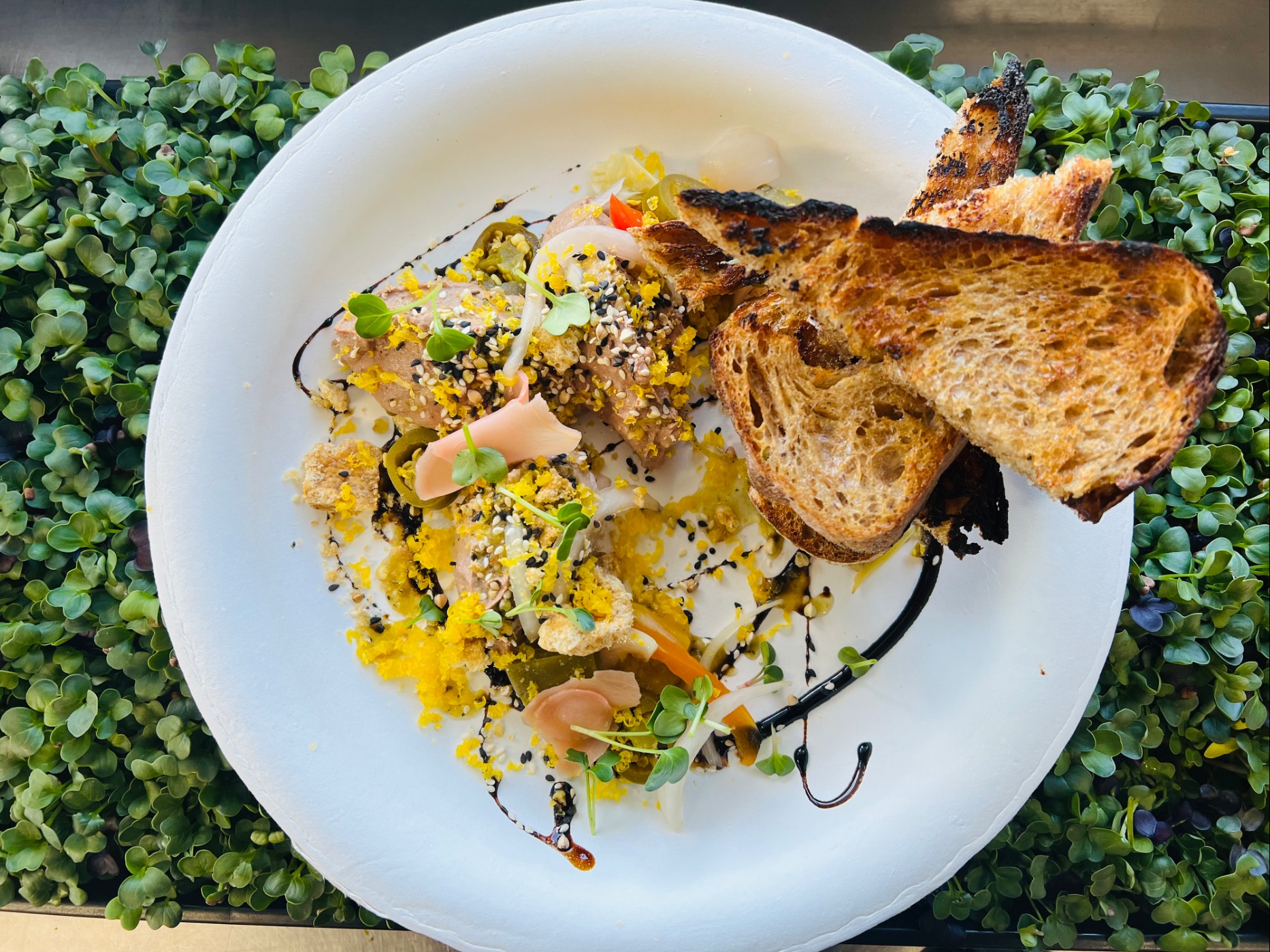 IMG_0290.jpeg IMG_0290.jpeg