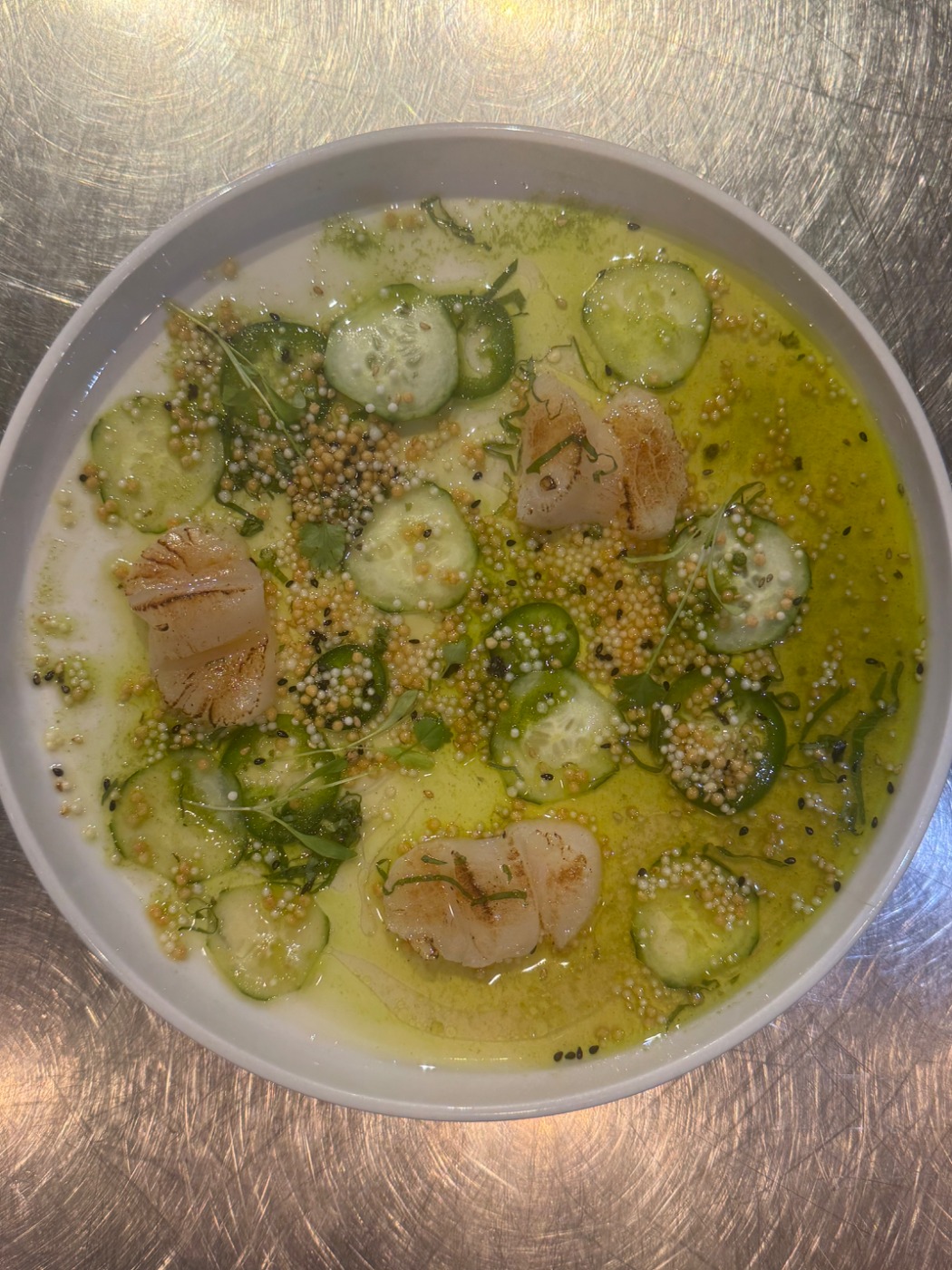 IMG_6783.jpeg IMG_6783.jpeg