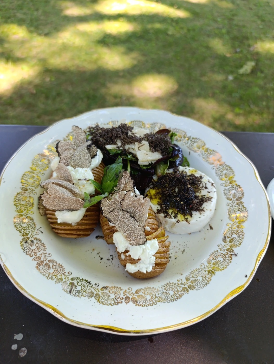 IMG_20250709_135513.jpg IMG_20250709_135513.jpg