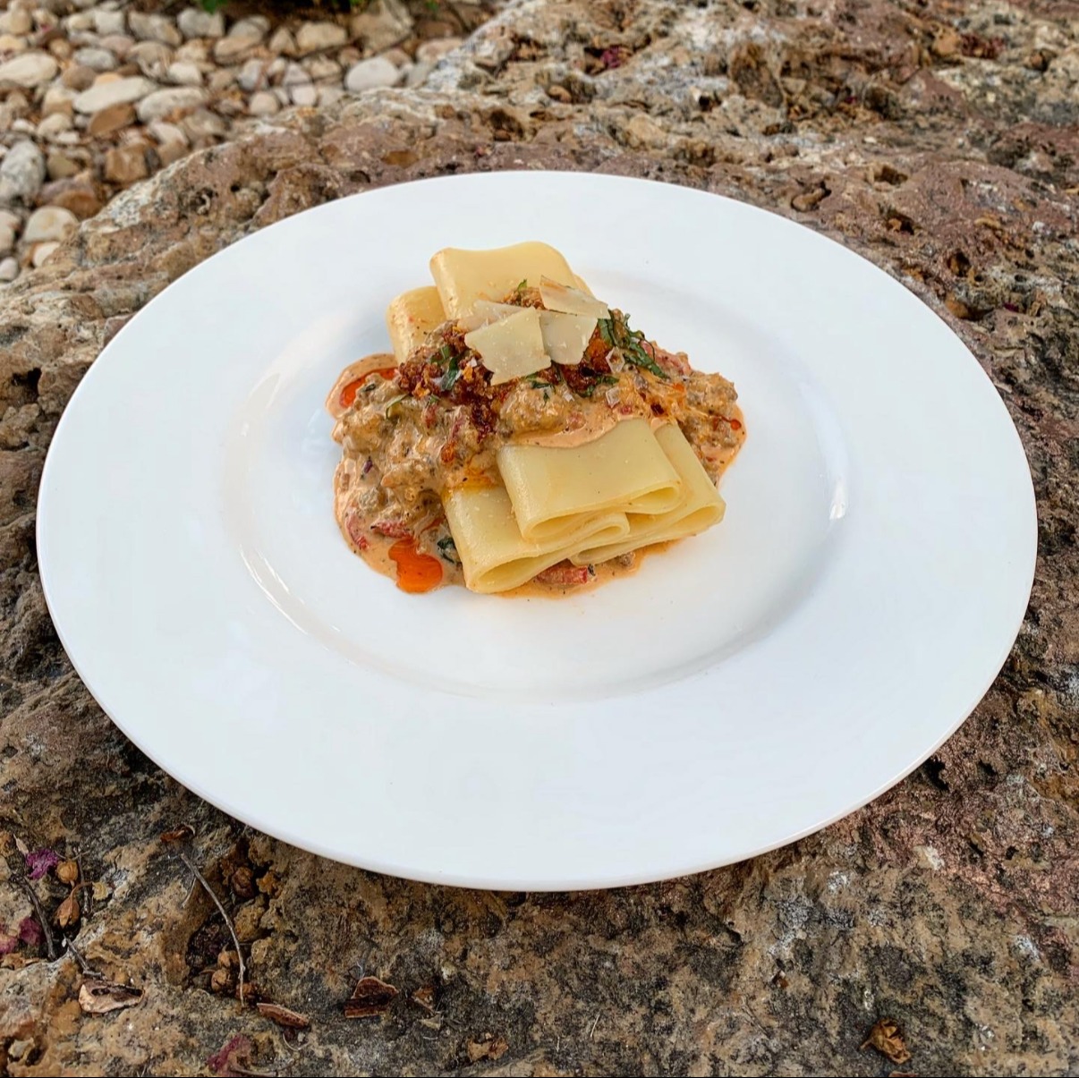 IMG_6197.jpeg IMG_6197.jpeg