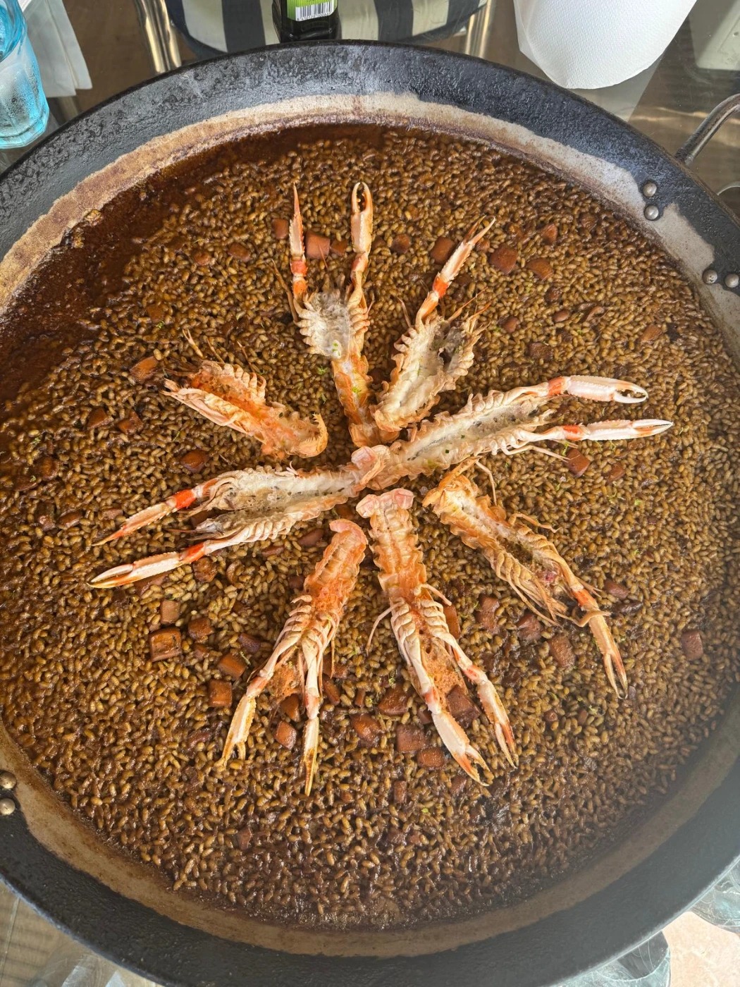 1000107100.jpg 1000107100.jpg