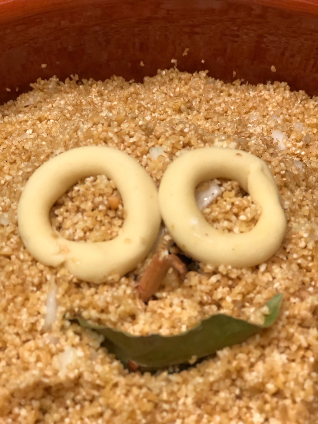 IMG_4117_Original.jpeg IMG_4117_Original.jpeg