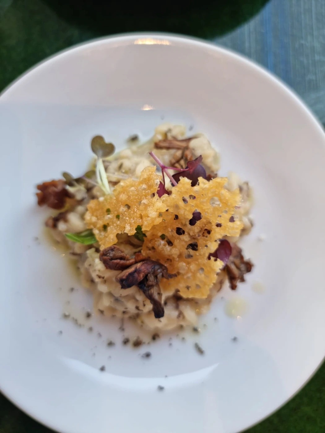 Porcini risotto with truffle oil and parmesan wafer.jpg