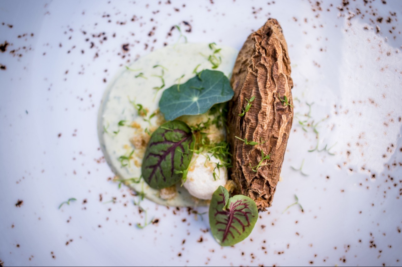 IMG-20210826-WA0022.jpeg IMG-20210826-WA0022.jpeg