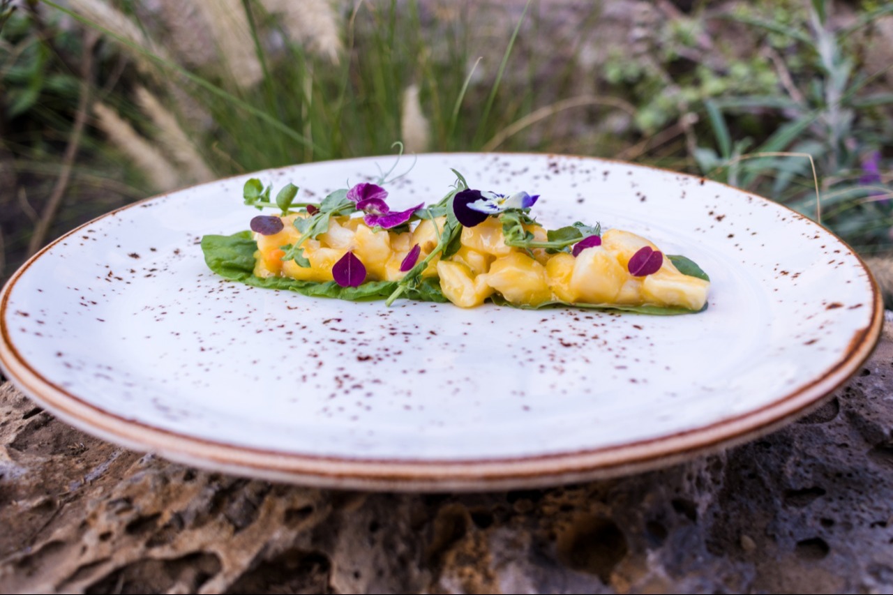 IMG-20210826-WA0040.jpeg IMG-20210826-WA0040.jpeg