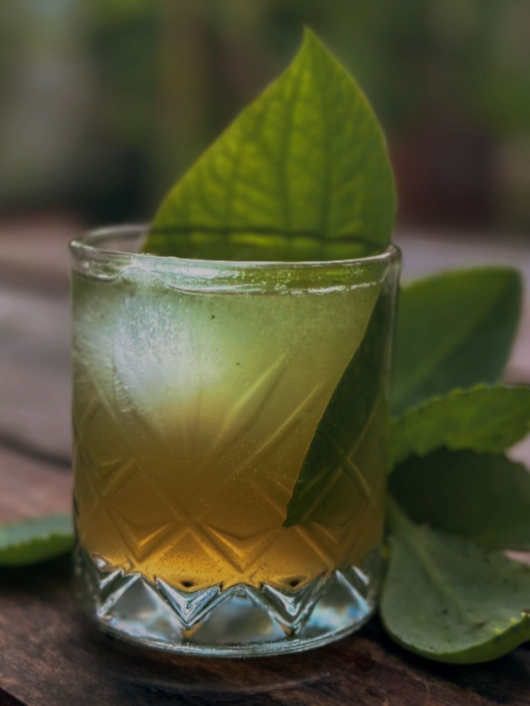 64913825-86A1-4155-B168-30ADF9B84484.jpeg 64913825-86A1-4155-B168-30ADF9B84484.jpeg