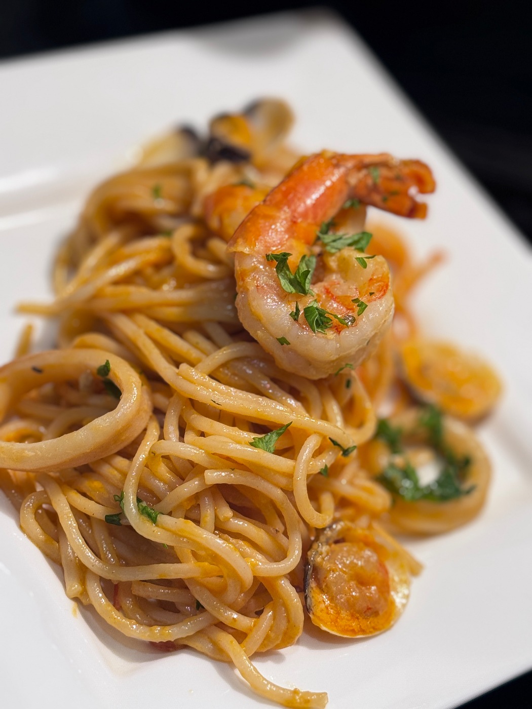 IMG_0292.jpeg IMG_0292.jpeg