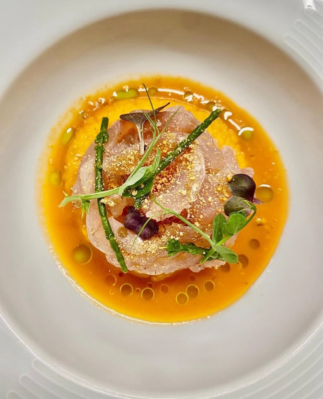 ricciola ed agrumi.jpeg