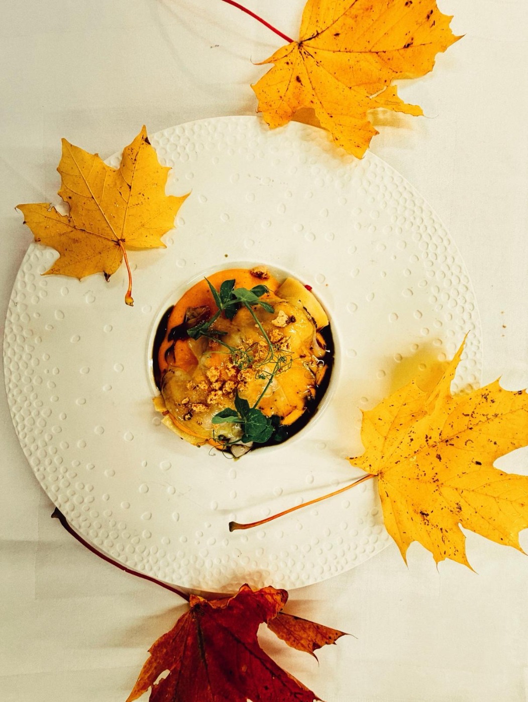 775c5610-9f17-49be-85af-01005417e738.jpeg 775c5610-9f17-49be-85af-01005417e738.jpeg