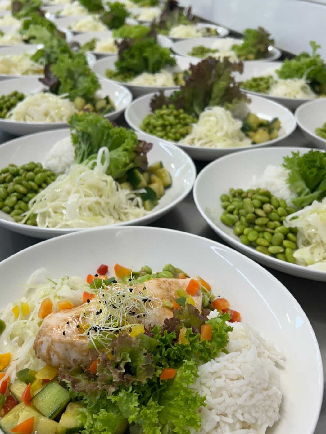 IMG_4015.jpeg IMG_4015.jpeg