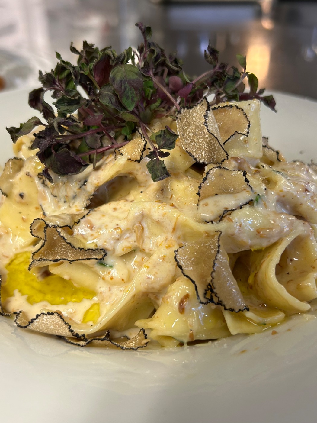 IMG_3147.jpeg IMG_3147.jpeg