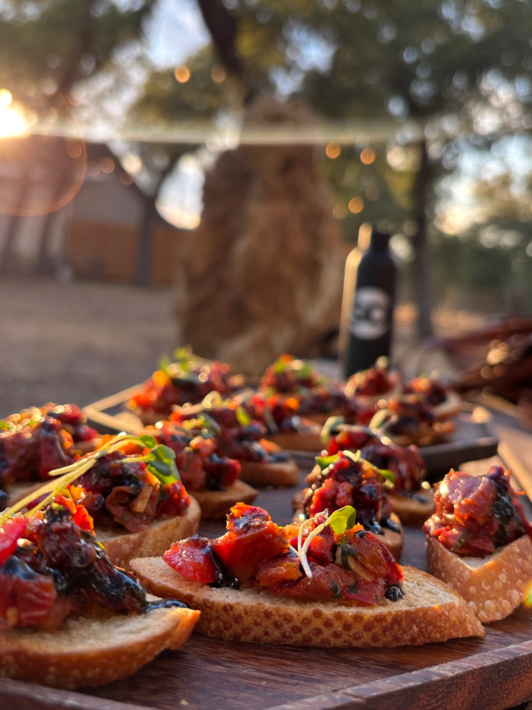 IMG_3395.jpeg IMG_3395.jpeg