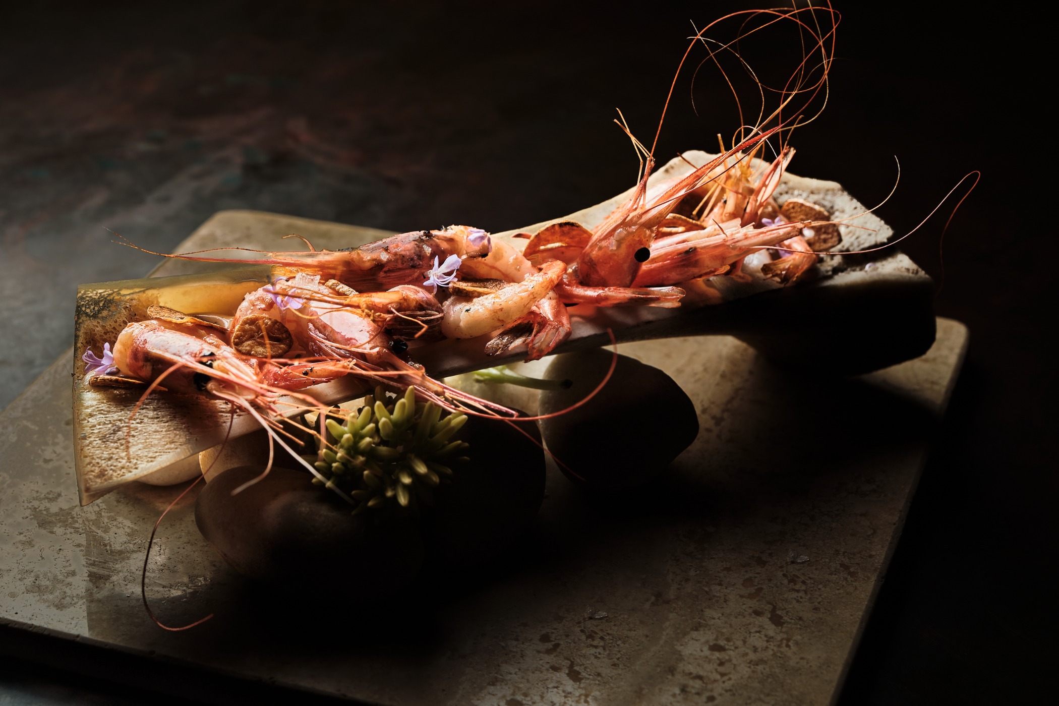 FOTOGRAFÍA IVÁN PÉREZ 5.jpeg FOTOGRAFÍA IVÁN PÉREZ 5.jpeg