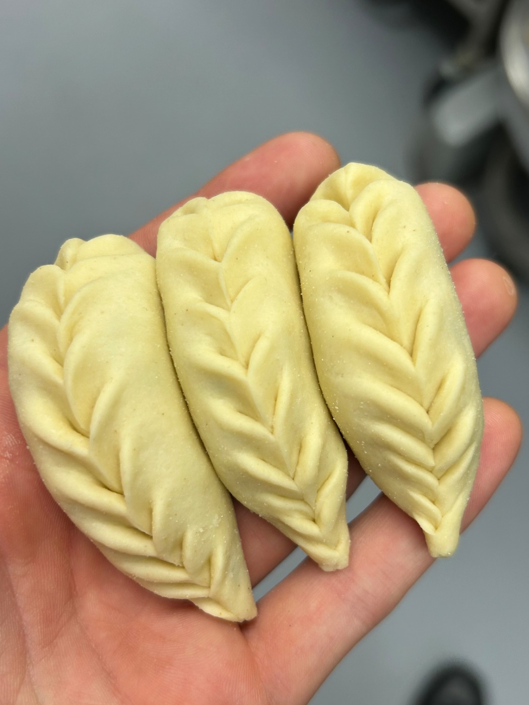 IMG_1166.jpeg IMG_1166.jpeg