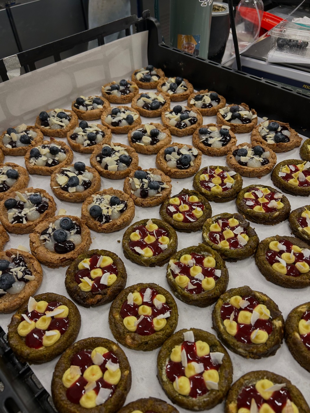 IMG_2578.jpeg IMG_2578.jpeg