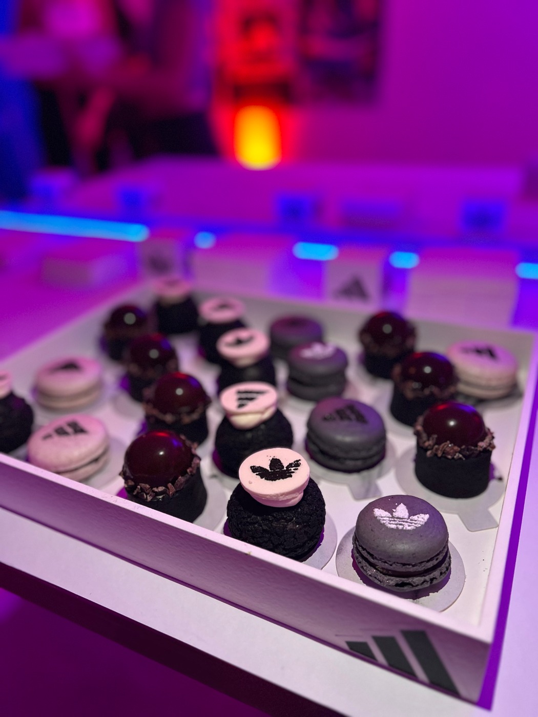 IMG_9067.jpeg IMG_9067.jpeg