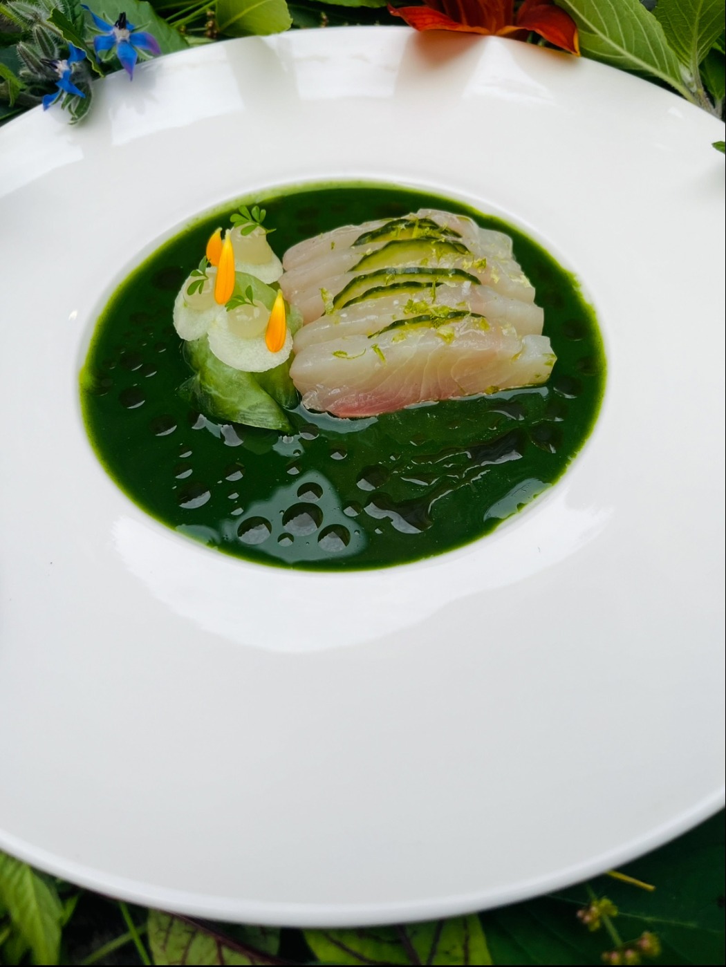 D6EF0DDB-E5D9-47E6-A86B-0A8F6D636E75.jpeg D6EF0DDB-E5D9-47E6-A86B-0A8F6D636E75.jpeg