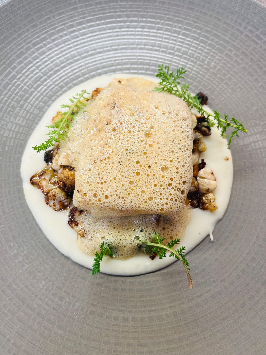 IMG_0704.jpeg IMG_0704.jpeg